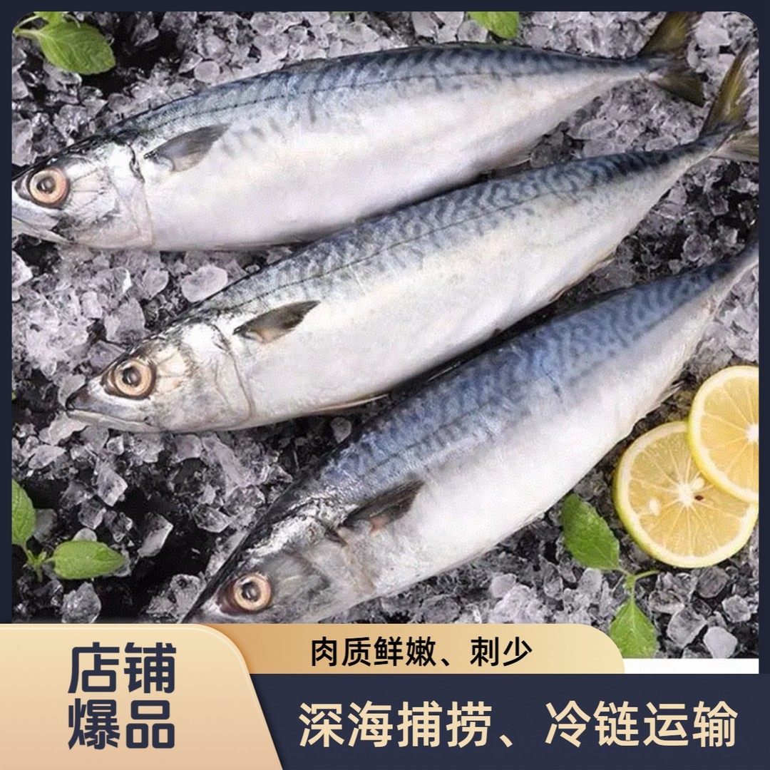 到手5斤新鲜鲐鲅鱼青占鱼青花鱼肉质细嫩速冻锁鲜顺丰京东冷链