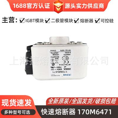 170M6471 170M6498 快速熔断器 保险丝 电子元器件 量大价优