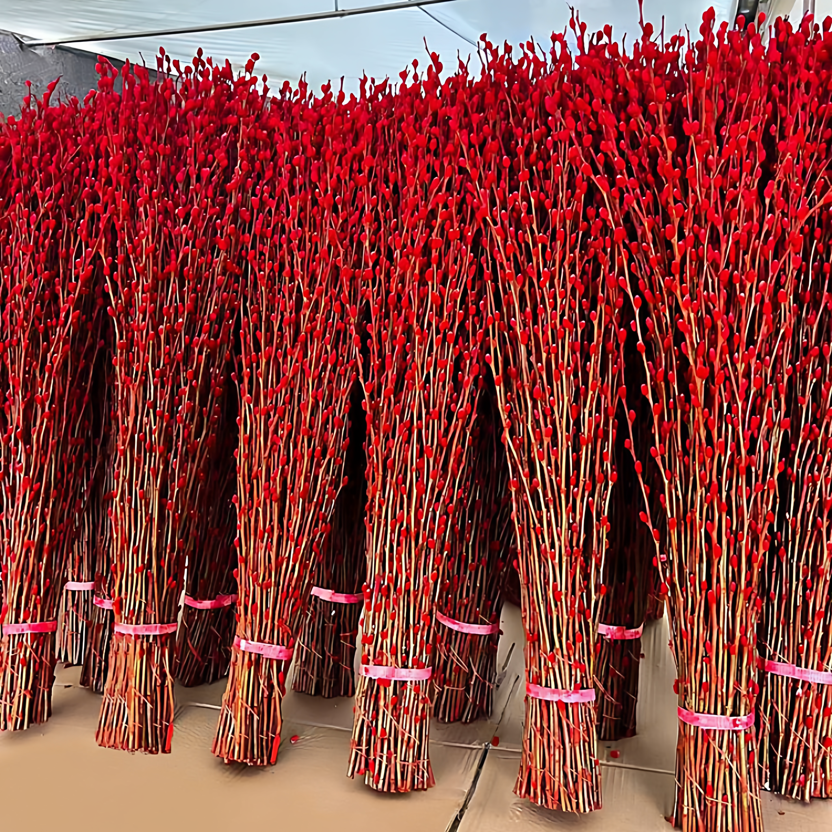 银柳真花鲜枝客厅摆件红色年宵花花卉绿植干花干枝抱抱桶水培植物