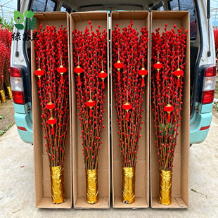 银柳真花鲜枝年宵花卉七多彩大红色银柳干花柳枝水养装饰招财1米2