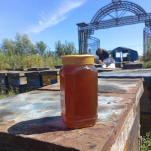 东北紫苏子蜂蜜原生态无添加农家自产绿色健康食品退货包邮费。