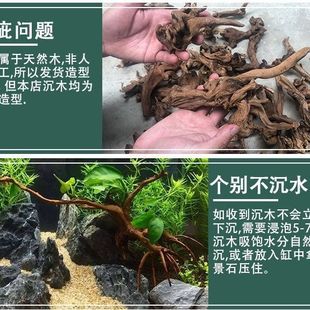 鱼缸水草缸造景妖精森林景观素材莫斯树形纯天然沉木杜鹃根树枝