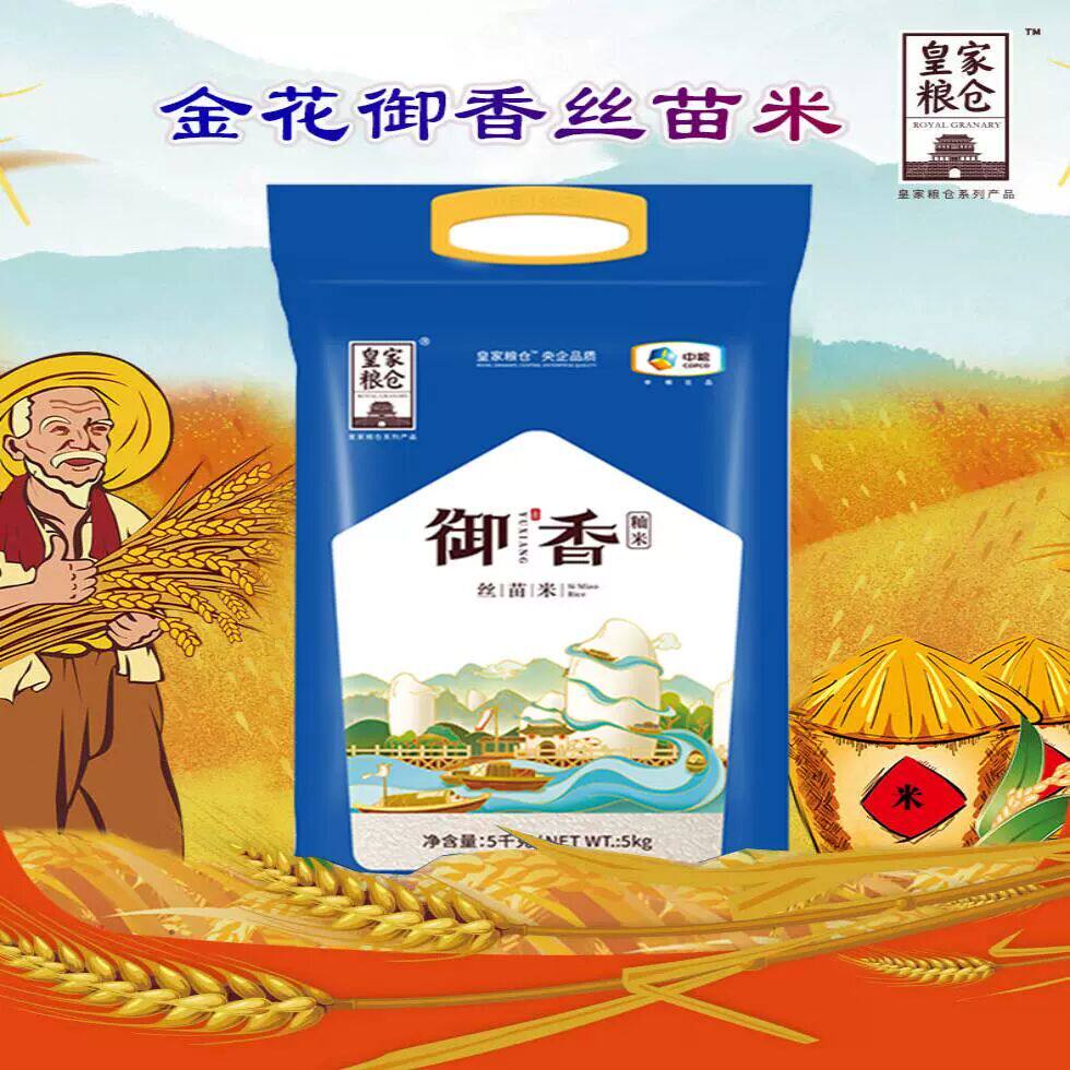 香丝苗米长粒香米家用餐饮营养煮粥佳中老年早餐轻食代餐主食饱腹