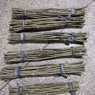 农家野生新鲜桑树枝桑木棒全身敲击放松神器肩颈背部拍打原木桑枝