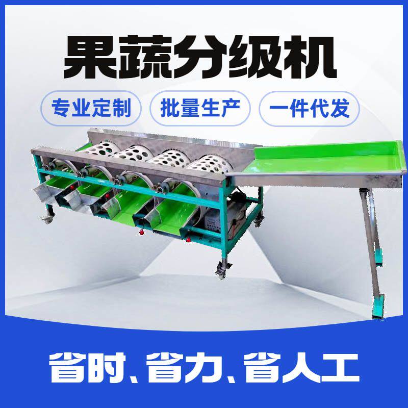 滚筒选果机柑橘分级机沃柑贡柑血橙分选机桔柚筛选机蔬处理设备