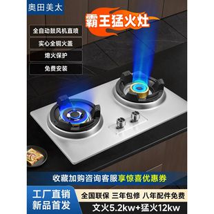 奥田美太新型霸王猛火灶家宴12kw别墅厨房燃气灶家用商用台嵌两用