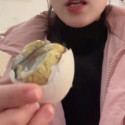 王拐岗小灶安徽无为老家胎鹅蛋熟活珠子12枚18到21天活胚胎鹅蛋鹅