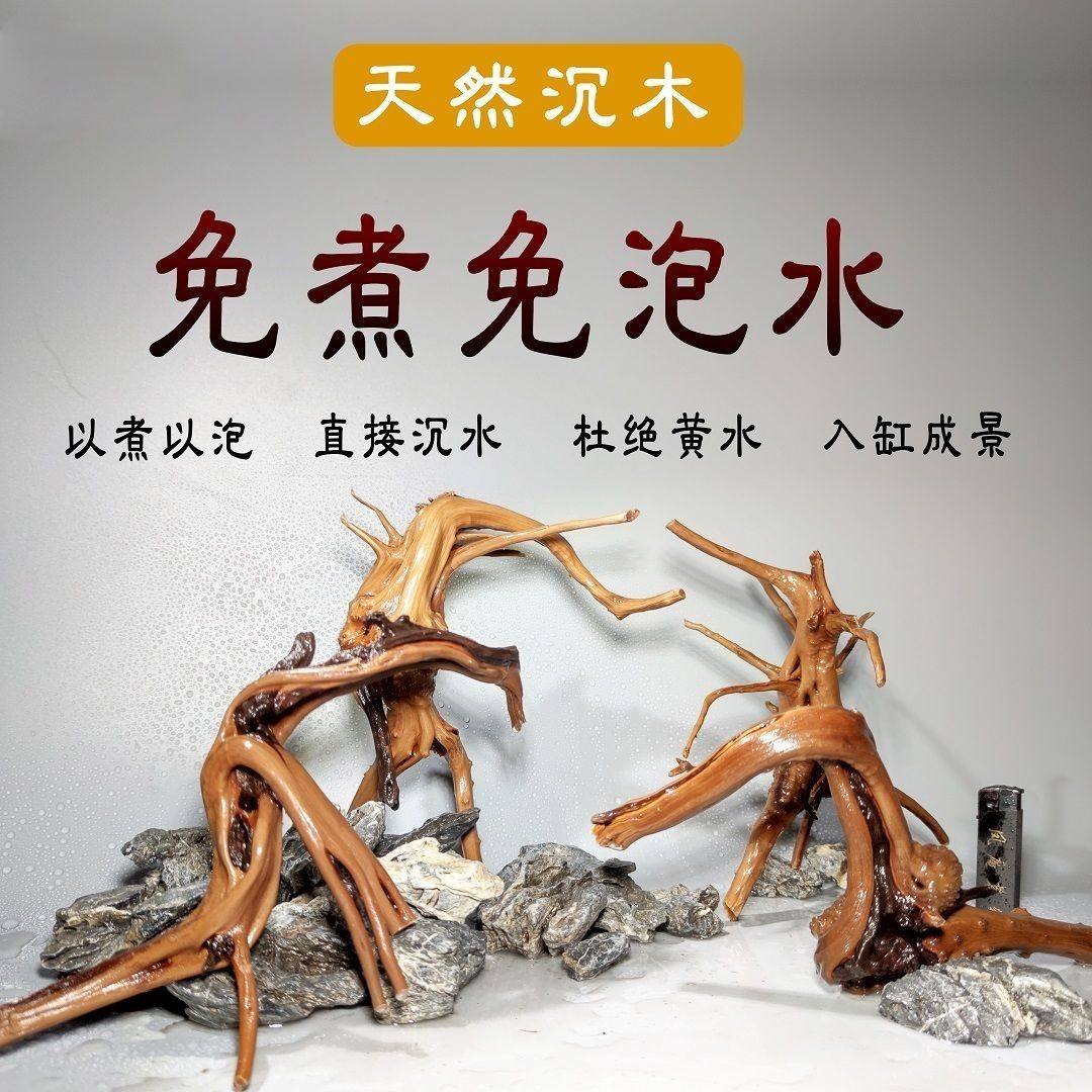 杜鹃根沉木莫斯树热带鱼虾天然鱼缸水草缸装饰造景免煮小号龟晒台