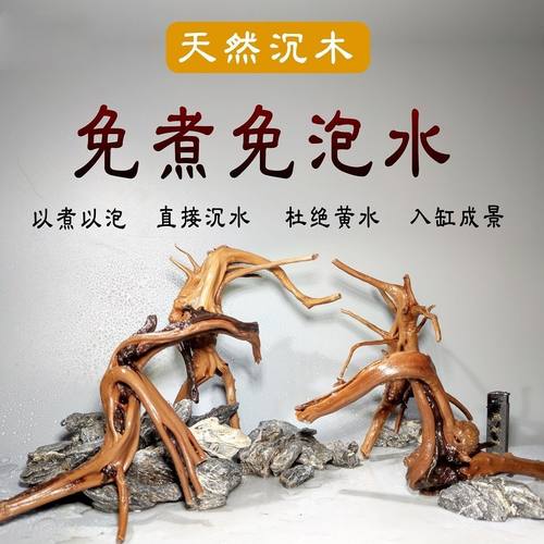 杜鹃根沉木莫斯树热带鱼虾天然鱼缸水草缸装饰造景免煮小号龟晒台
