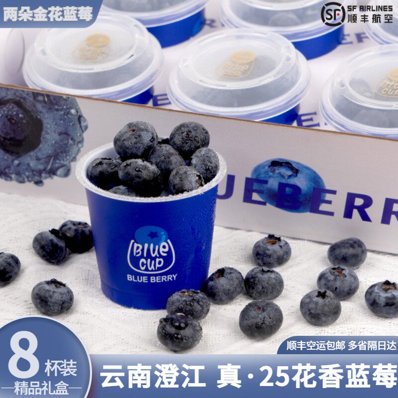 真25花香 8杯装礼盒顺丰空运云南澄江新鲜应季25花香蓝莓脆甜
