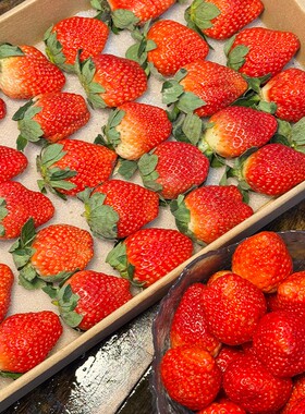 建康啊四川大凉山露天草莓脆甜多汁果味浓郁顺丰陆运包邮