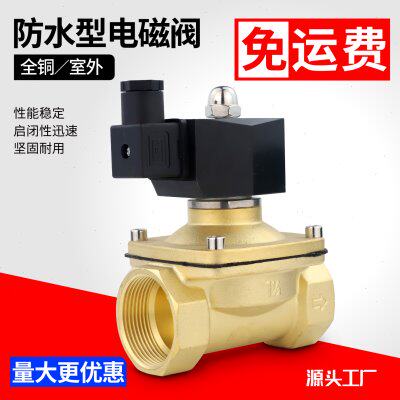 室外防水常闭电磁阀水阀开关阀220VDC24V气阀排水防雾DC12V4分6分