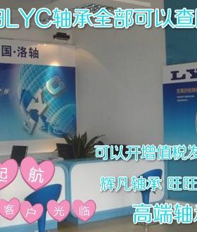 洛阳LYC轴承 原装 6317E 6318E 6319E 中国洛轴