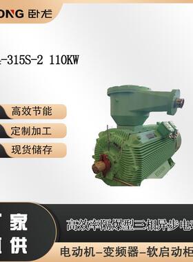 YBX4-315S-2110W卧龙电气南阳防爆粉尘防爆电机型号
