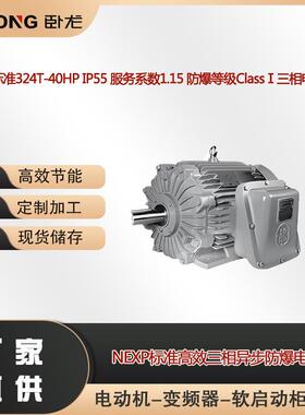 NEXP标准324T-40HPIP55服务系数1.15防爆等级ClassⅠ三相电机