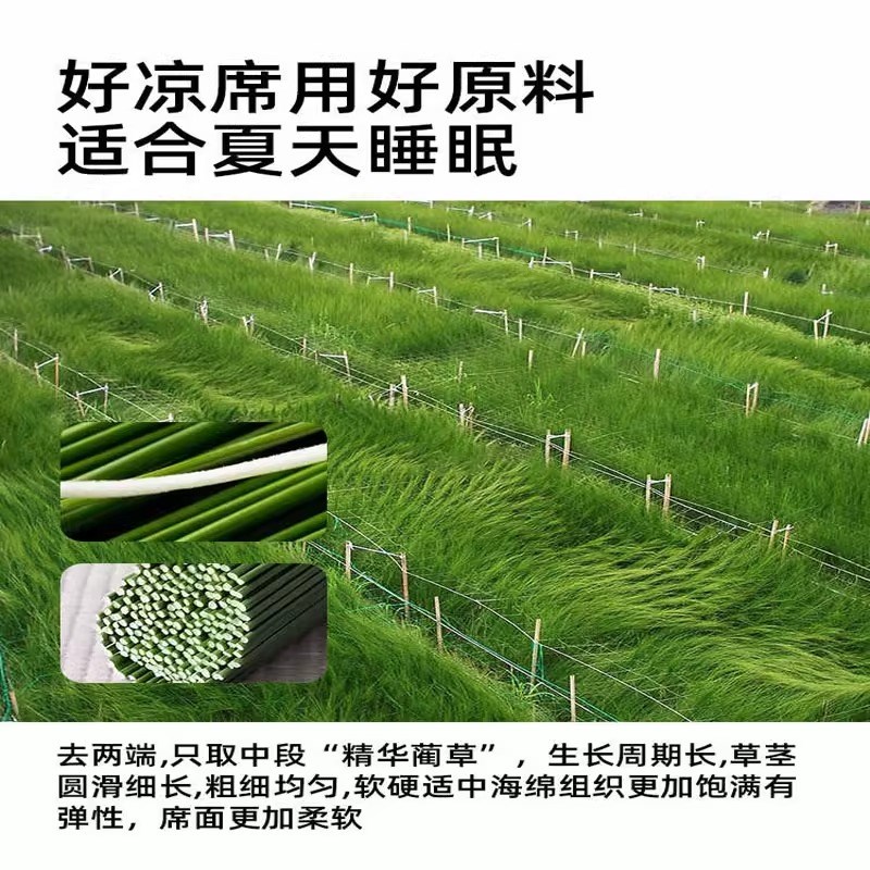 夏天凉席草席天然2025新款席子老款90x190cm学生宿舍单人住校