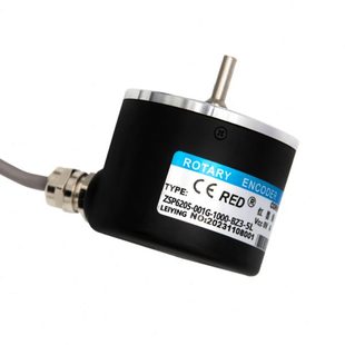 1000 1024 1200 ZSP6205 2500瑞普型编码 001G 2000 器增量