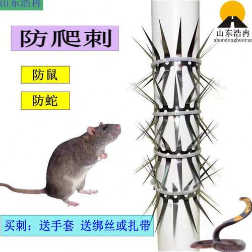 老鼠防爬刺燃气管道水管阳台不锈钢防爬刺钉防鼠防蛇防爬防盗刺钉