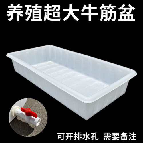 长方形加厚牛筋水箱塑料水箱水产养殖箱卖鱼养鱼箱牛筋盆大储水桶