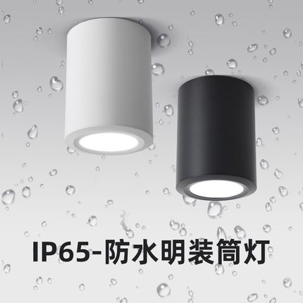 防水明装筒灯lP65室外阳台酒店雨棚灯店铺门头明装吸顶射灯圆形