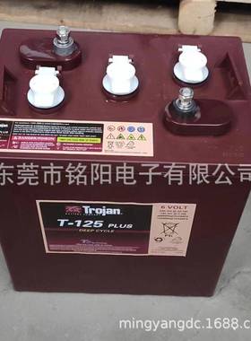 进口邱健蓄电池T-105T-125T-145T-875T-1275 6V240AH升降车L16P