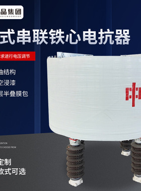 干式串联铁心电抗器CKSC-2400/35-12空心串联电抗器10kv电抗器