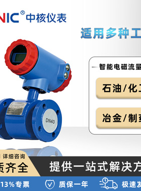 DN200电磁流量计大口径定制自来水污水工程管道一体式流量计