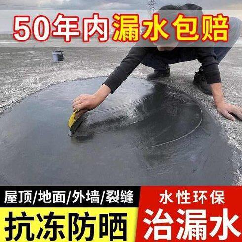 防水补漏材料屋顶专用涂料房屋楼顶裂缝漏水专用胶屋面房顶堵漏王