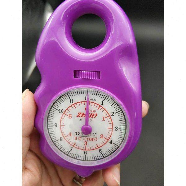 包邮准字牌家用称袖珍小型秤可6kg手提称挂秤弹簧秤便携式,厨房/烹饪用具,手提秤/挂秤,淘宝优惠券,粉丝福利购,淘宝优惠卷