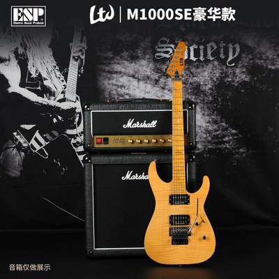 ESP/GRASSROOTS/LTD电吉他