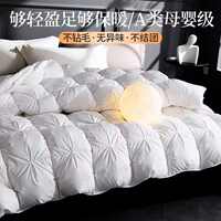 All-cotton twisted non-down quilt, thick white goose down, warm feather, winter core, spring and autumn quilt, hotel and guesthouse quilt thumbnail 3