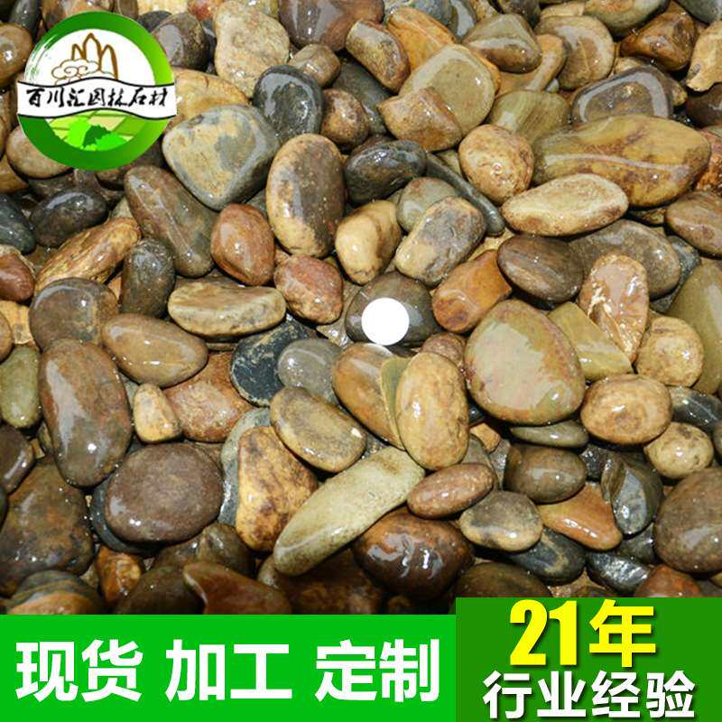 厂家  天然园林装饰杂色鹅卵石 水池铺路杂色卵石砾石规格齐全