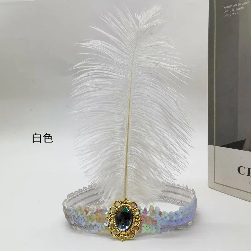鸵鸟毛头带亮片羽毛头戴镶钻发带演出头戴印第安成人儿童发带头饰
