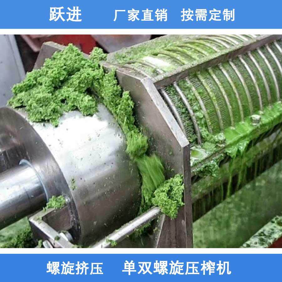 供应新型冰冻的葡萄压榨机 葡萄榨汁机 河南葡萄压榨机价格