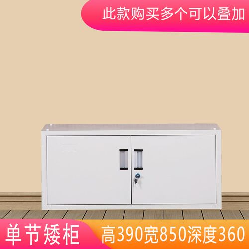 办公室文件柜铁皮资料凭证档案矮柜福州玻璃门书柜储物更衣柜带锁