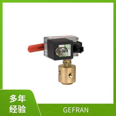 杰佛伦GEFRAN400-DD-1-000功率控制器LM-L-A-08000000XA00X