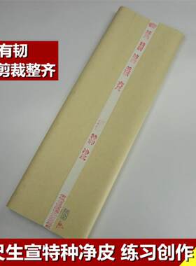 安徽泾县宣纸六尺生宣六尺特种净皮学生书法国画练习毛笔创作用纸