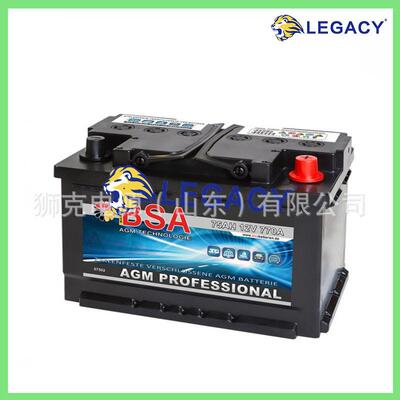 德国BSA蓄电池230AH12VC100、210AH12VC100、220AH12V电