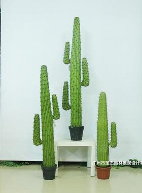 北欧大型仿真仙人掌盆栽黑刺室内客厅装饰来图设计仿真植物仙人柱