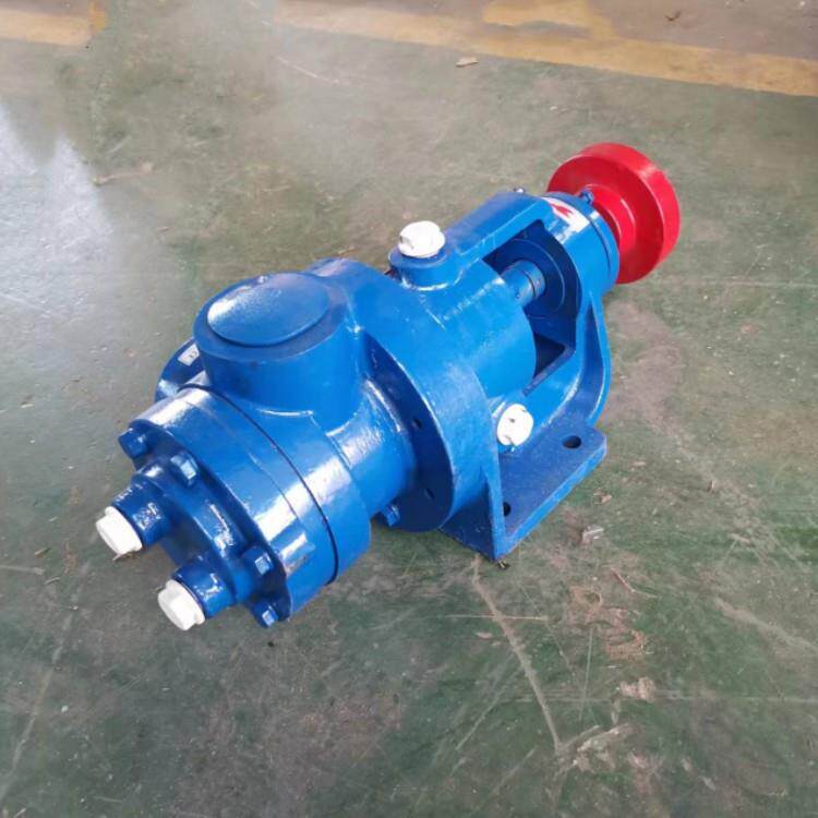 铸铁高粘度泵转子泵树脂泵带保温金海泵业供应变频齿轮