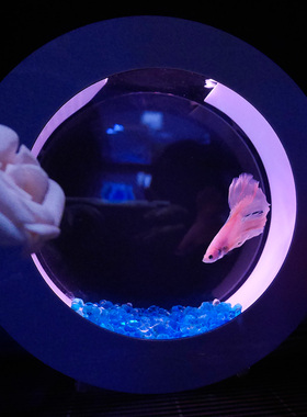 水母缸创意斗鱼缸生态懒人缸迷你小型创意办公室迷你桌面鱼缸O2