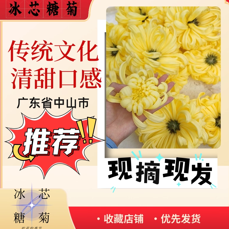 可生食用冰芯糖菊花小榄火锅网红小花微苦的蔬菜聚餐新鲜特别食材