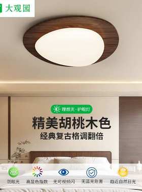 大观园全光谱卧室吸顶灯复古主卧鹅卵石护眼高级感书房间灯具412L