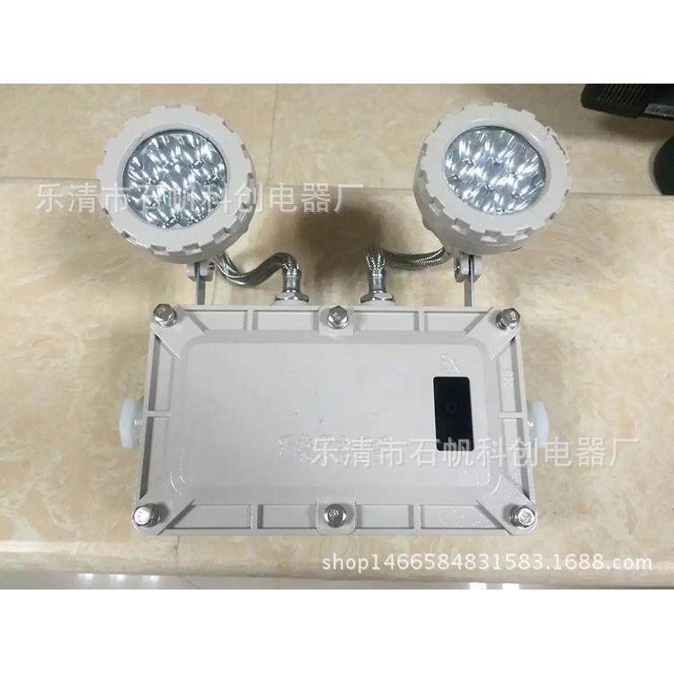 GCD803-YJ-6W双头防爆应急灯 BCJ-2*3W YZ40EA-1