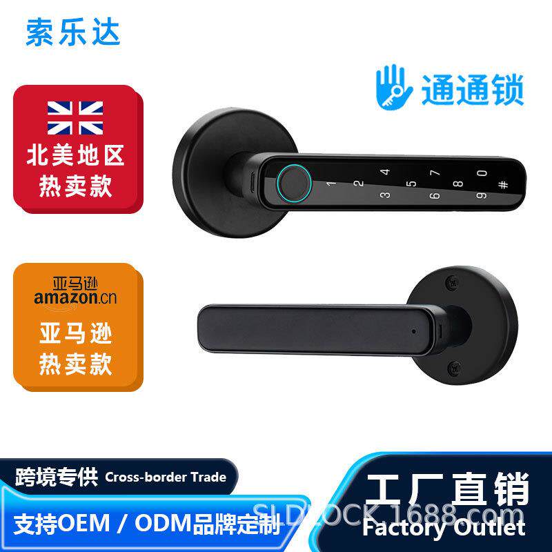 亚马逊跨境APP智能感应辅助锁北美门锁家用球形蓝牙密码锁免改孔