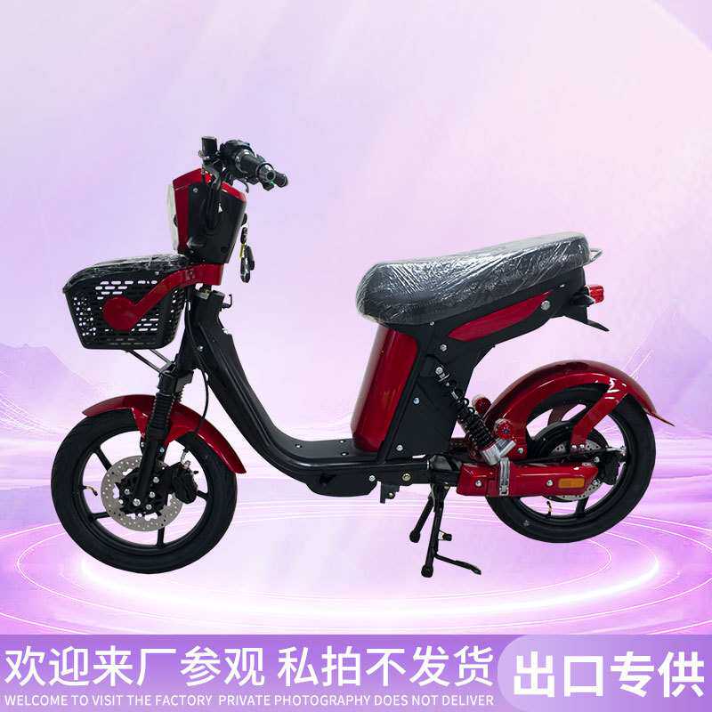 外贸出口小旋风电动自行车跨境出口电动踏板车成人电动车厂家直销