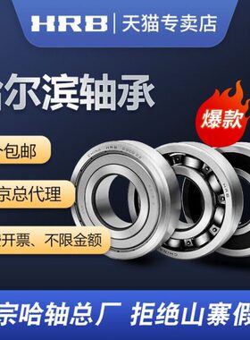 HRB 6810 ZZ 61810-2Z 内径50mm外径65mm厚度7mm 哈尔滨轴承 总厂