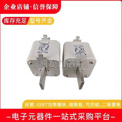 170M8600 170M8601 170M8602 170M8603 170M8604 170M8605熔断器
