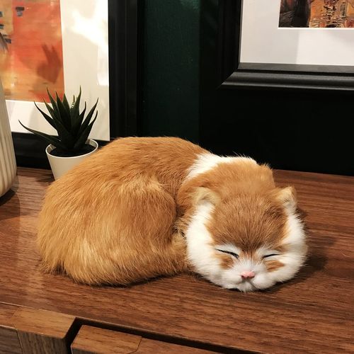 仿真猫咪家居创意摆件样板间软装道具摄影道具装饰品毛绒玩具玩偶