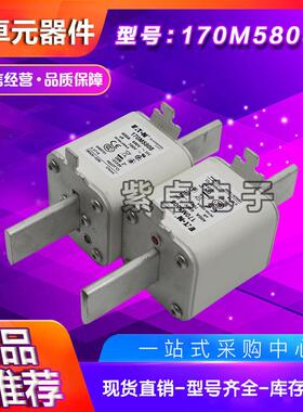 170M5808170M5809170M5810170M5811170M5812170M5813保险丝